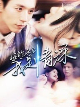 安能知我是情深 (2024)-多米联创
