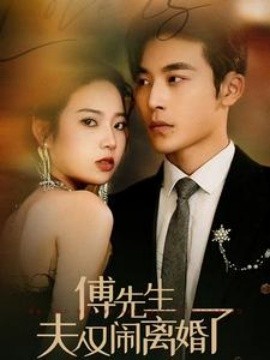 傅先生夫人又闹离婚了 (2024)-多米联创