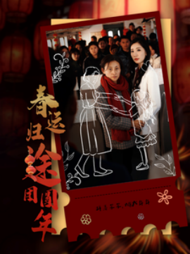 春运归途团圆年 (2025)-多米联创