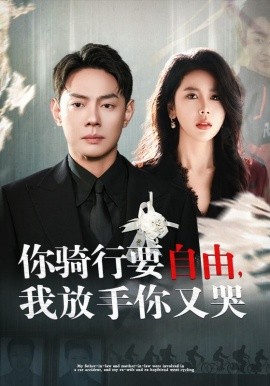 你骑行要自由，我放手你又哭 (2024)-多米联创