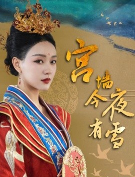 宫墙今夜有雪 (2025)-多米联创