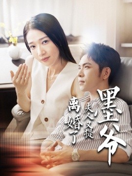 墨爷夫人又提离婚了 (2024)-多米联创