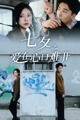 七夕之爱在心口难开 (2024)-多米联创