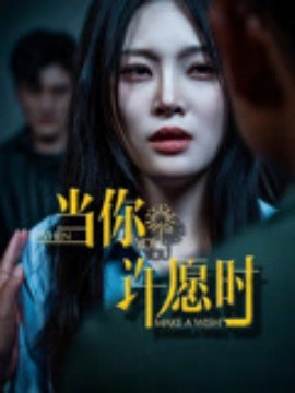 当你许愿时（36集）徐菡琳&王冰 (2025)-多米联创