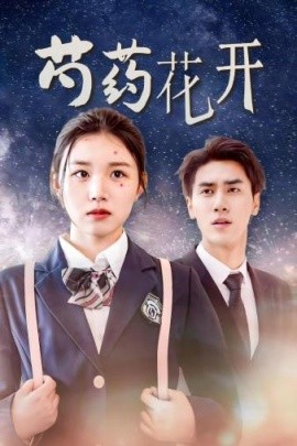 芍药花开 (2024)-多米联创