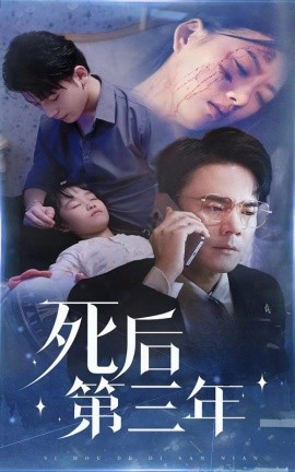 死后第三年 (2024)-多米联创