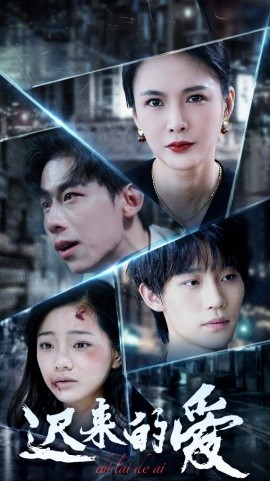 迟来的爱 (2025)-多米联创