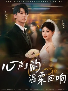 心声里的温柔回响（79集）李俊麟＆刘曙瑞 (2025)-多米联创