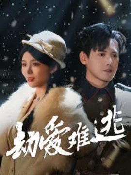 劫爱难逃 (2025)-多米联创