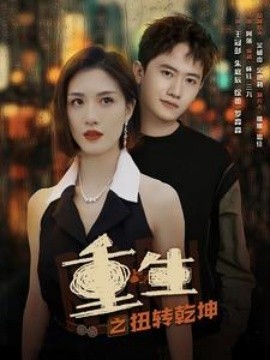 重生之扭转乾坤 (2024)-多米联创