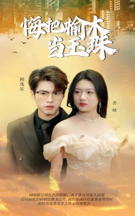 悔把榆木当玉珠 (2025)-多米联创