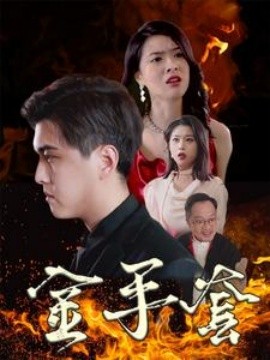 金手套 (2024)-多米联创