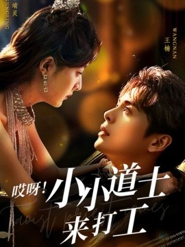 哎呀!小小道土来打工(80集)王楠&曾靖灵 (2025)-多米联创