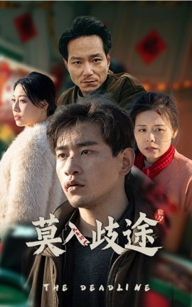 莫入歧途 (2025)-多米联创