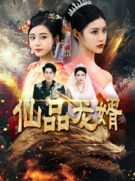仙品龙婿 (2025)-多米联创