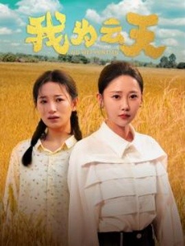 我为云天 (2024)-多米联创