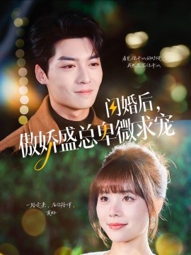 闪婚后，傲娇盛总卑微求宠 (2024)-多米联创