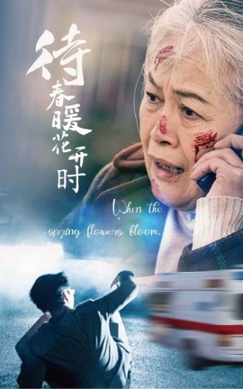 待春暖花开时 (2025)-多米联创