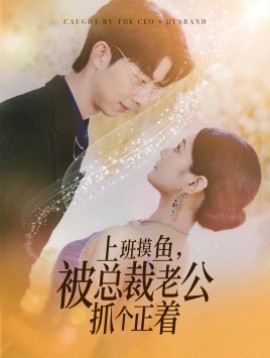 上班摸鱼被总裁老公抓个正着 (2024)-多米联创