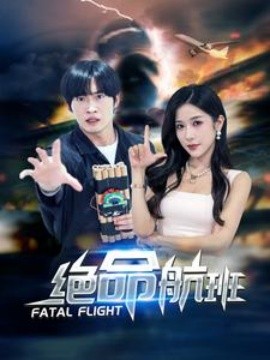 绝命航班 (2024)-多米联创
