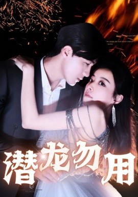 潜龙勿用 (2024)-多米联创