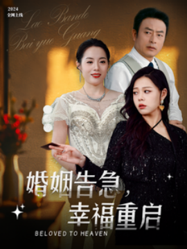 婚姻告急，幸福重启 (2025)-多米联创