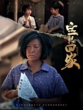 宝贝回家 (2024)-多米联创