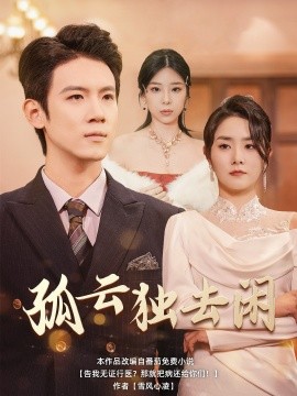 孤云独去闲 (2025)-多米联创