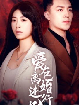爱在离婚进行时 (2024)-申水仓