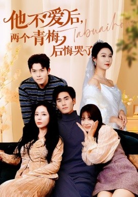 他不爱后，两个青梅后悔哭了 (2024)-多米联创