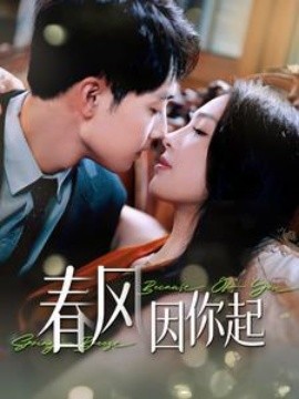 春风因你起 (2024)-多米联创