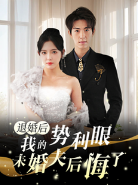 退婚后我的势利眼未婚夫后悔了 (2024)-多米联创