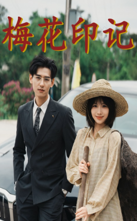 梅花印记 (2024)-多米联创