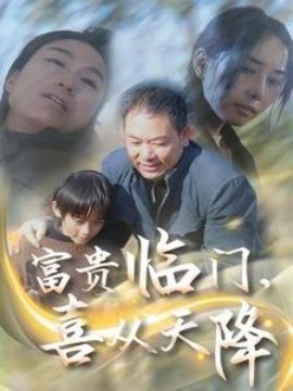 富贵临门，喜从天降 (2025)-多米联创