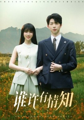 谁许有情知（58集）孙志强（大宝）＆辛婉柔 (2025)-多米联创