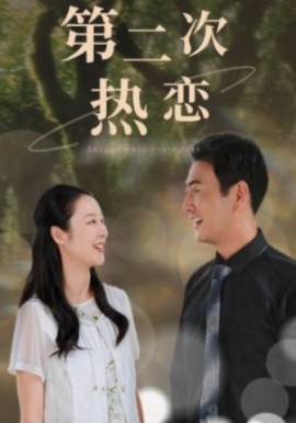 第二次热恋 (2024)-多米联创