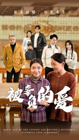 被辜负的爱 (2024)-多米联创