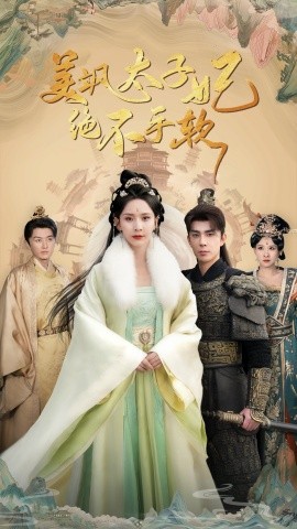 美飒太子妃绝不手软 (2024)-多米联创