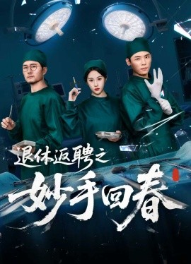 退休返聘之妙手回春（60集）朱文玉 (2025)-多米联创