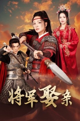 将军娶亲 (2024)-多米联创