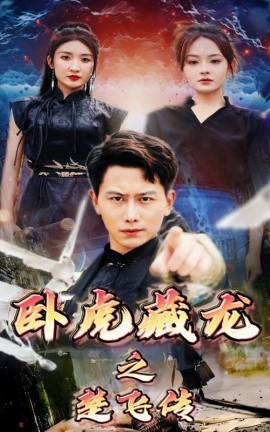 卧虎藏龙之楚飞传 (2024)-多米联创