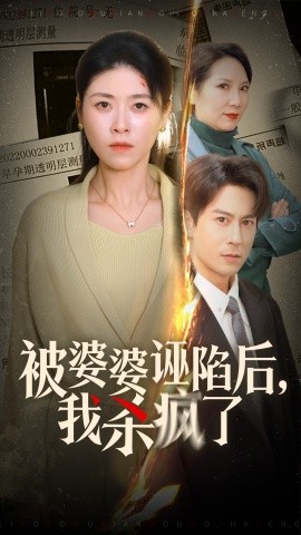 被婆婆诬陷后，我杀疯了 (2024)-多米联创