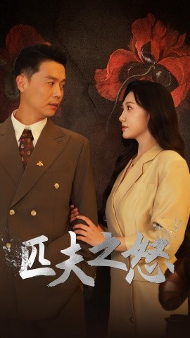 匹夫之怒 (2024)-多米联创