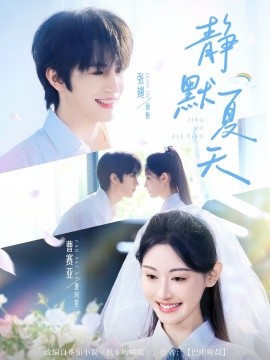 静默夏天（60集）张翅&曹赛亚 (2025)-多米联创