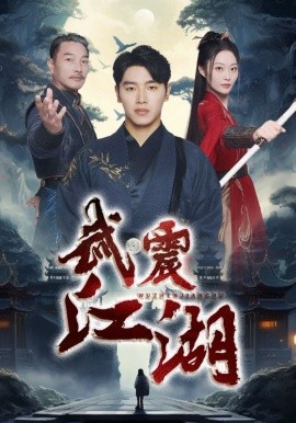 武震江湖 (2025)-多米联创