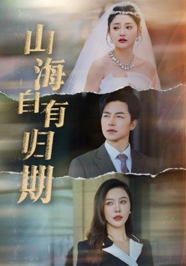 山海自有归期 (2025)-多米联创