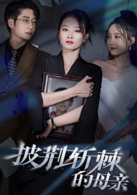 披荆斩棘的母亲 (2024)-多米联创