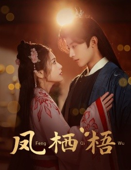 凤栖梧 (2025)-多米联创