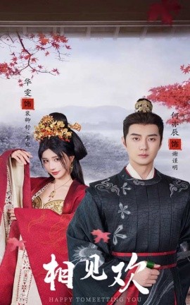 相见欢 (2024)-多米联创