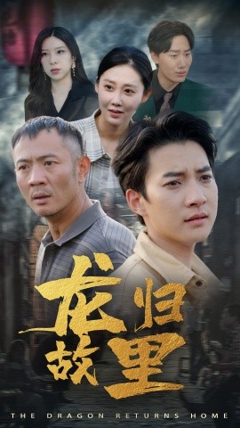 龙归故里 (2024)-申水仓